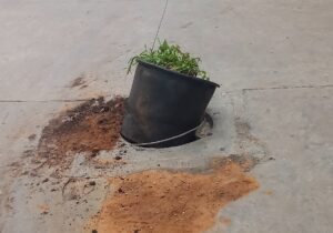 20250419_120300-300x210 سكان حي السلام بسلا يقتربون من الإحتفال بذكرى حفر "ريضال" ويكرمون شركاء تدبير الشأن المحلي