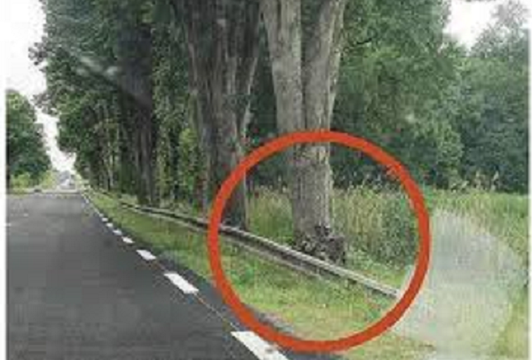 الرادار خلف الشجر… هل نحمي السائق أم نصطاده؟