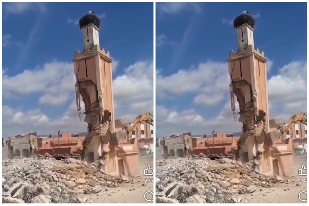 جدل حول حماية الحياة البرية والمسؤولية البيئية بسبب سقوط عش اللقلاق بعد هدم مسجد